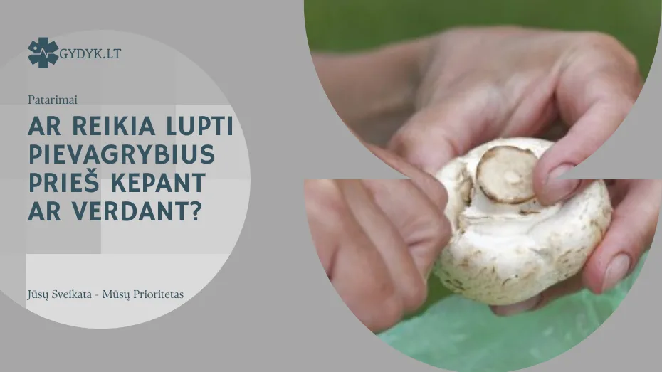 Ar reikia lupti pievagrybius prieš kepant ar verdant(1)