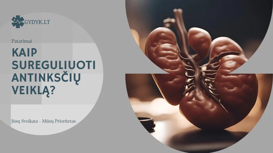 Kaip sureguliuoti antinksčių veiklą?