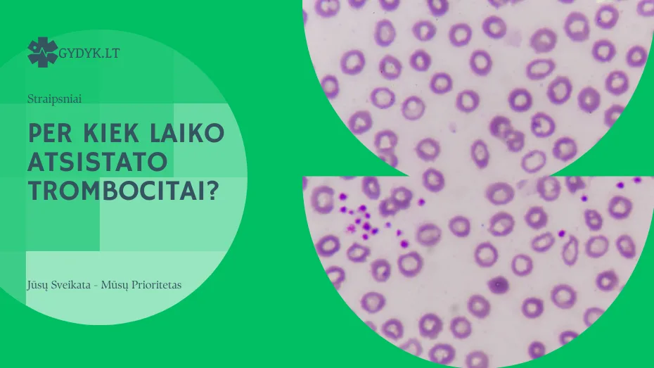 Per kiek laiko atsistato trombocitai? Per kiek laiko atsistato trombocitai