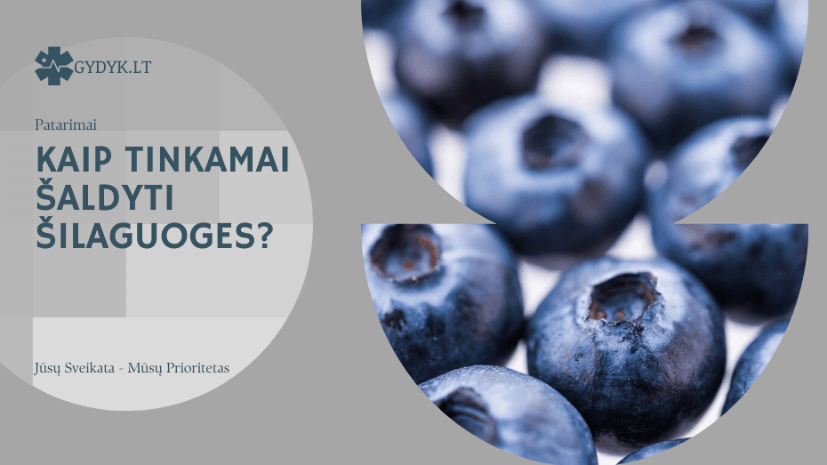 Ar reikia plauti šilauoges? Kada ir kaip tai daryti teisingai? kaip tinkamai šaldyti šilaguoges