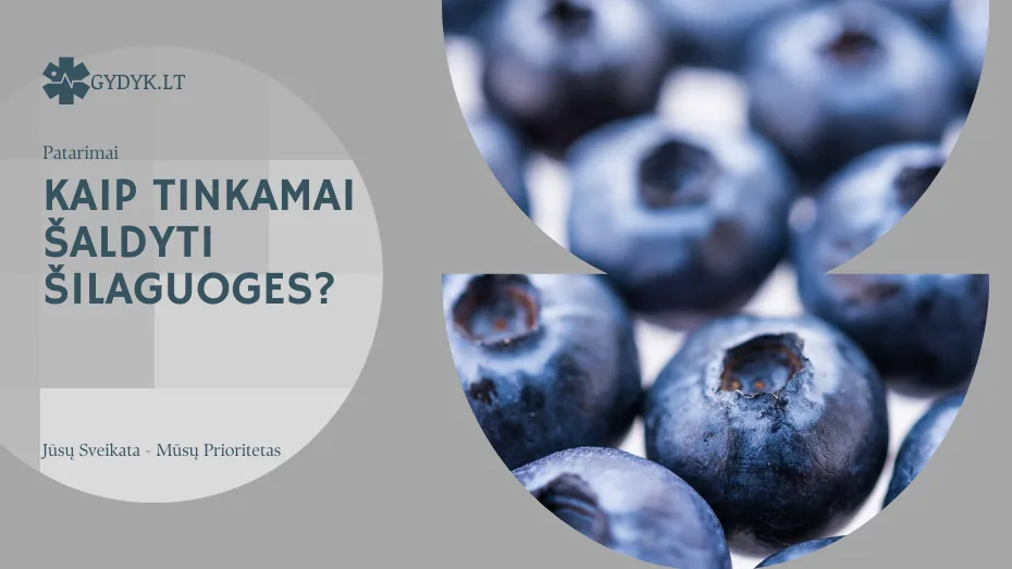 kaip tinkamai šaldyti šilaguoges
