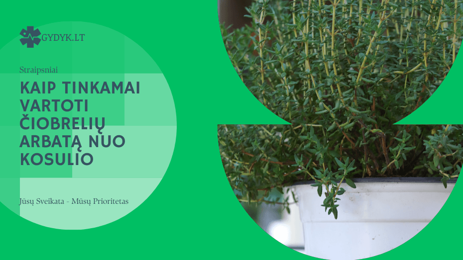 Čiobrelių arbata nuo kosulio: kaip tinkamai vartoti? kaip tinkamai vartoti čiobrelių arbatą nuo kosulio