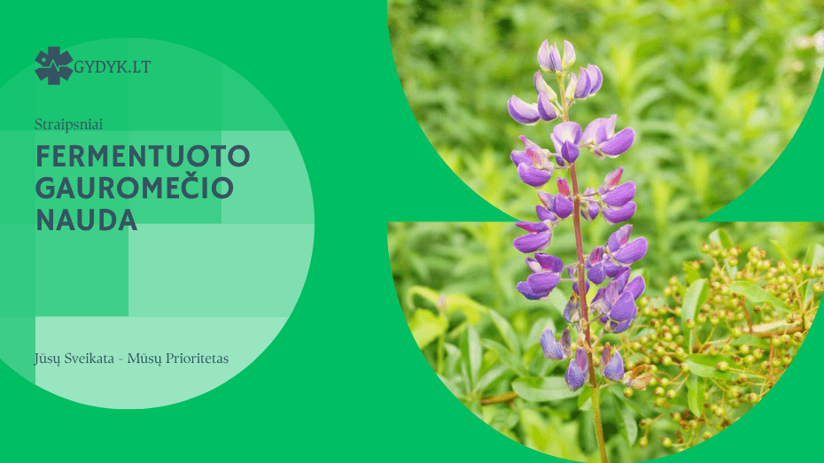 Fermentuoto gauromečio nauda