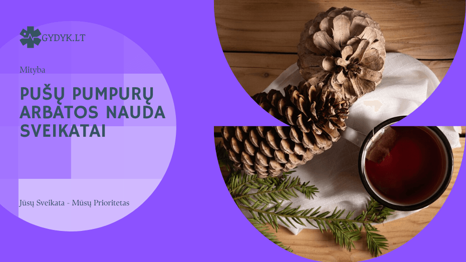 Pušų pumpurų arbatos nauda sveikatai, kaip tinkamai paruošti ir atsiliepimai pušų pumpurų arbatos nauda sveikatai