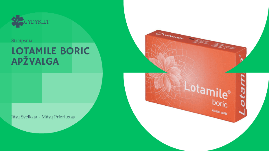 Lotamile Boric apžvalga