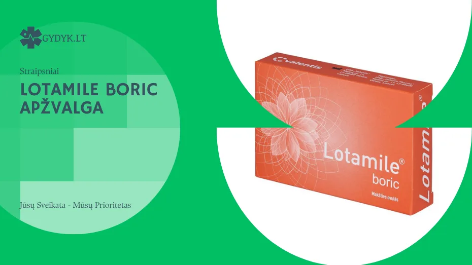 Lotamile Boric apžvalga