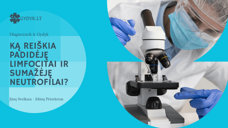 Ką reiškia padidėję limfocitai ir sumažėję neutrofilai? Ką reiškia padidėję limfocitai ir sumažėję neutrofilai