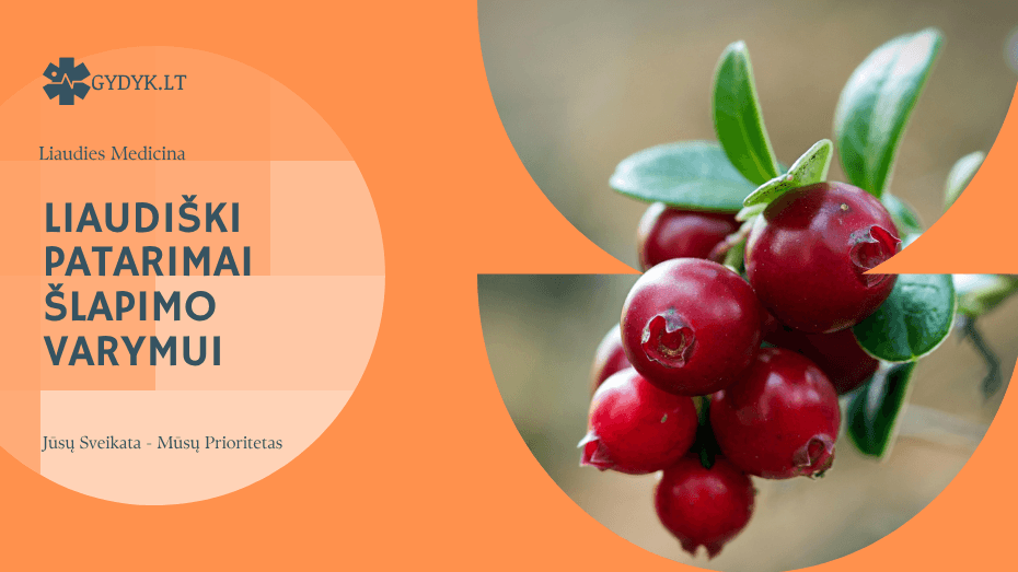 Liaudiški patarimai šlapimo varymui: ką iš tiesų verta išbandyti?