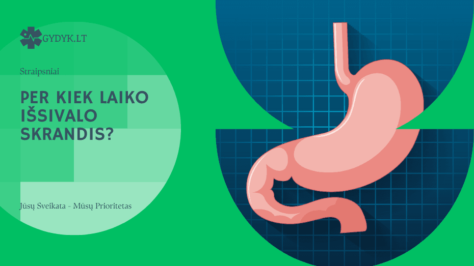 per kiek laiko išsivalo skrandis