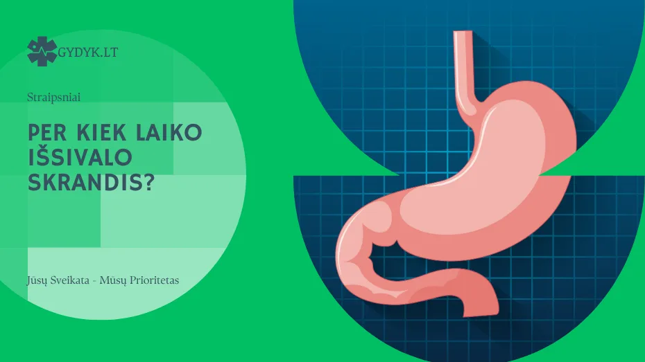 Per kiek laiko išsivalo skrandis? Maisto virškinimo trukmė ir ką ji lemia per kiek laiko išsivalo skrandis