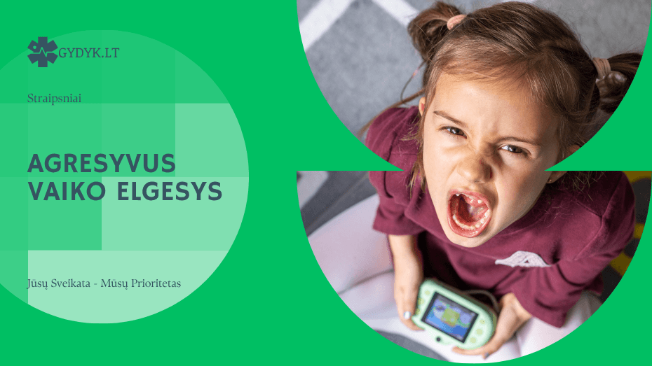 Agresyvus vaiko elgesys