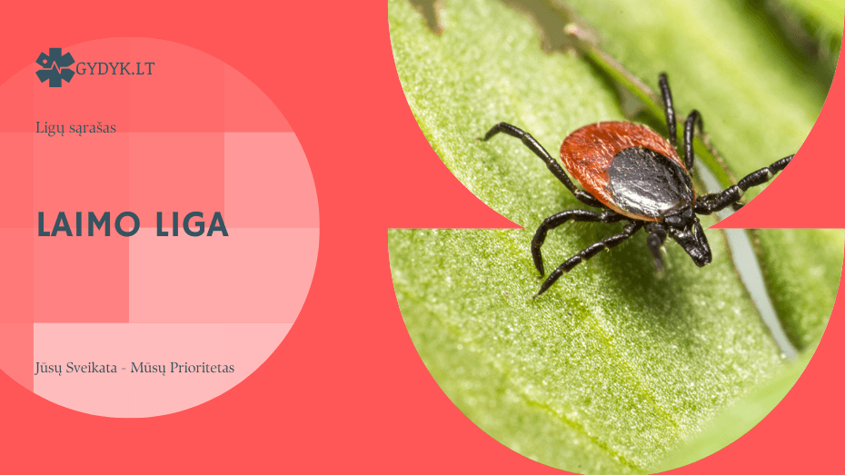 Laimo liga (bėgimas, dėmė): kaip atpažinti šią ligą?