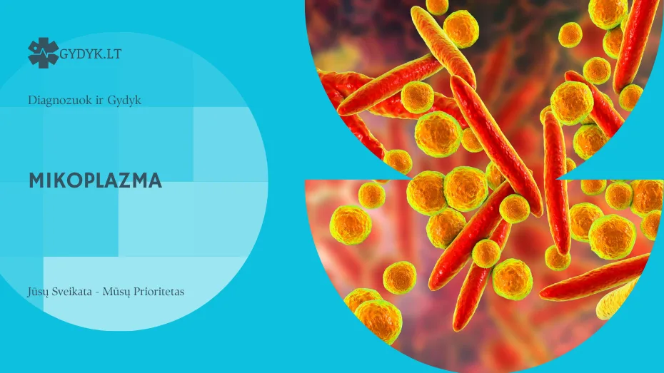 Mikoplazma: simptomai, tyrimai, gydymas antibiotikais ir ar ji užkrečiama
