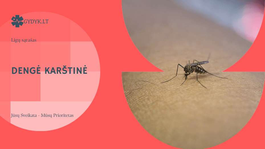 Dengė karštinė: simptomai, priežastys, pavojai ir gydymas