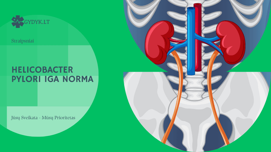Helicobacter pylori IgA norma: ką rodo tyrimas ir ką reiškia nukrypimai