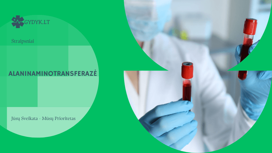 Alaninaminotransferazė (ALAT/GPT): kokie simptomai rodo padidėjimą ar sumažėjimą ir kokia norma?