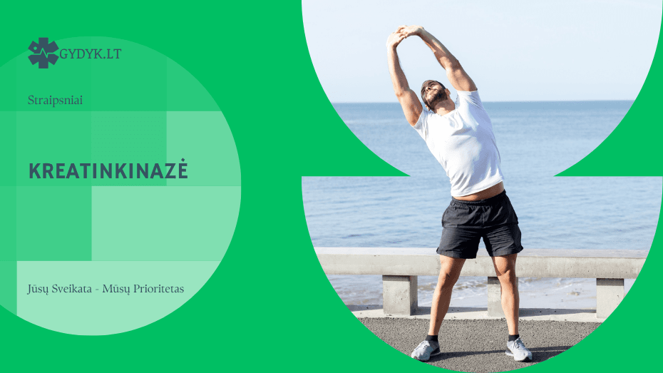 Kreatinkinazė (CK): norma, padidėjimo ir sumažėjimo simptomai