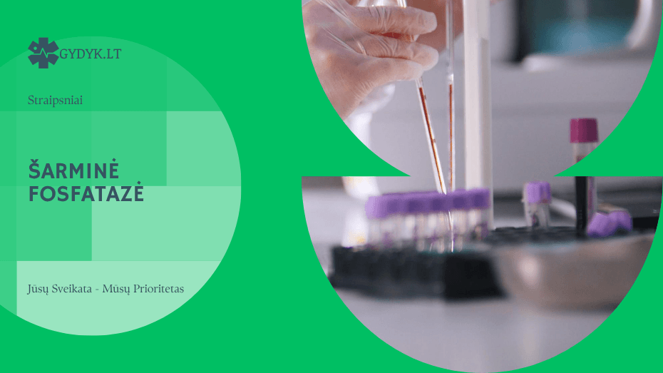 Šarminė fosfatazė (ALP): norma, padidėjimo ir sumažėjimo simptomai