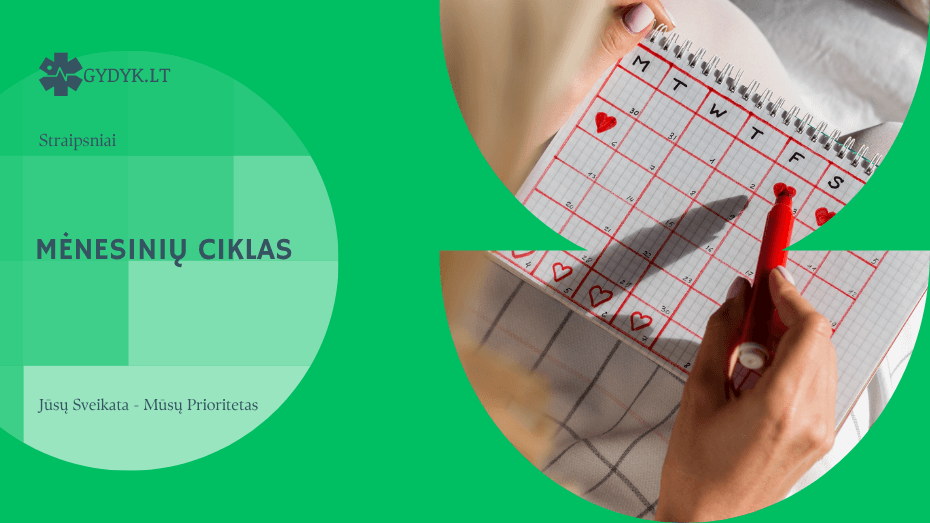 Mėnesinių ciklas: trukmė, fazės ir skaičiavimas
