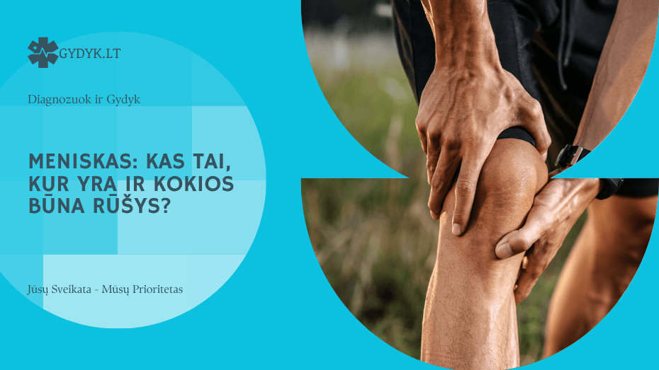 Meniskas: kas tai, kur yra ir kokios būna rūšys?