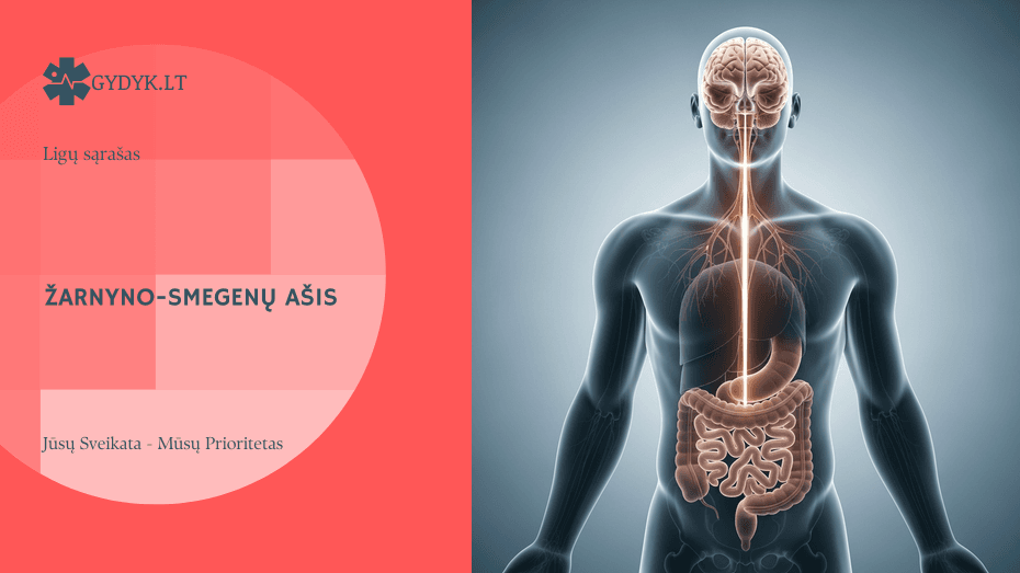 Iliustracija: Virškinimo sutrikimai nerviniu pagrindu: simptomai ir gydymas