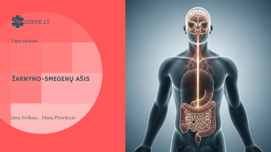 Iliustracija: Virškinimo sutrikimai nerviniu pagrindu: simptomai ir gydymas