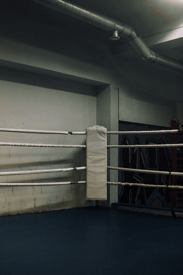 Kovos menai be mitų: ką pradedančiajam realiai duoda MMA treniruotės