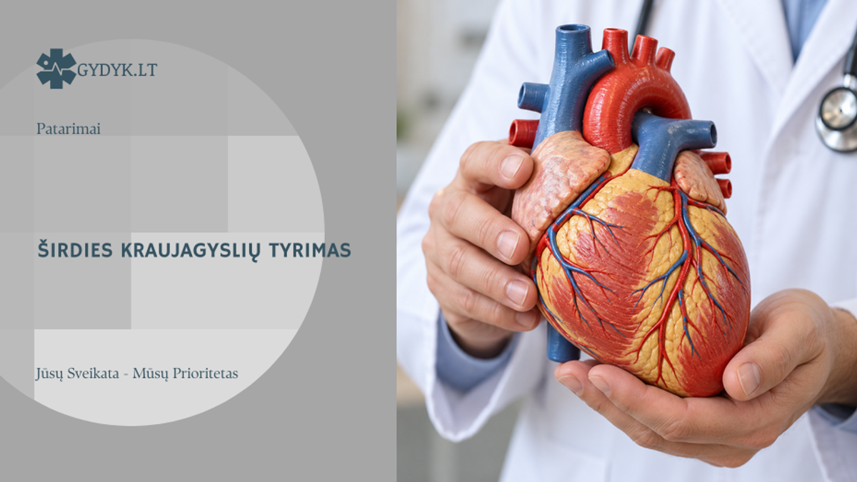 Gydytojo rankose laikomas mokomasis širdies modelis su matomomis vainikinėmis arterijomis