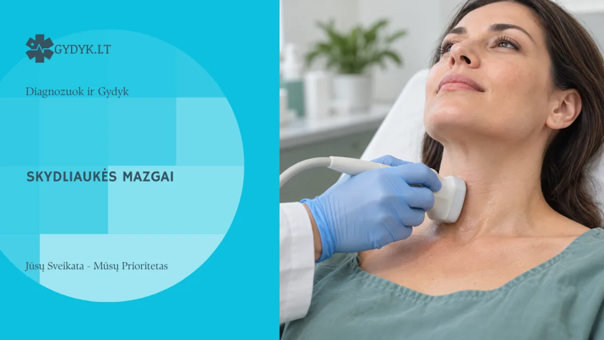 Skydliaukės ultragarso tyrimo iliustracija gydyk.lt Diagnozuok ir gydyk šablone
